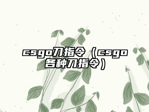 csgo刀指令（csgo各种刀指令）