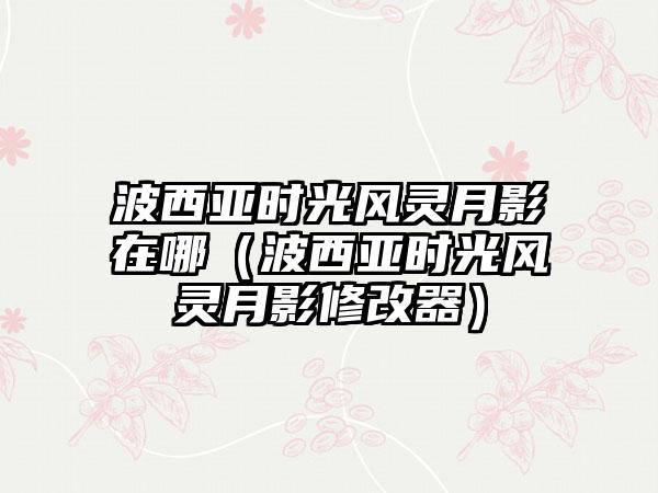 波西亚时光风灵月影在哪（波西亚时光风灵月影修改器）