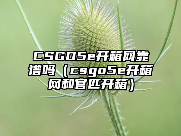 CSGO5e开箱网靠谱吗(csgo5e开箱网和官匹开箱)