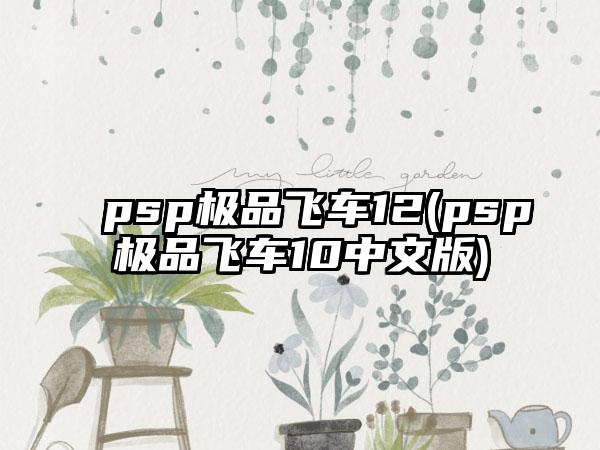 psp极品飞车12(psp极品飞车10中文版)