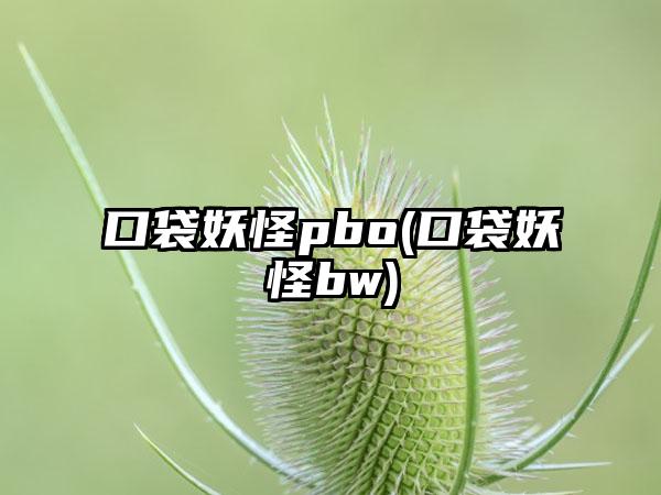 口袋妖怪pbo(口袋妖怪bw)