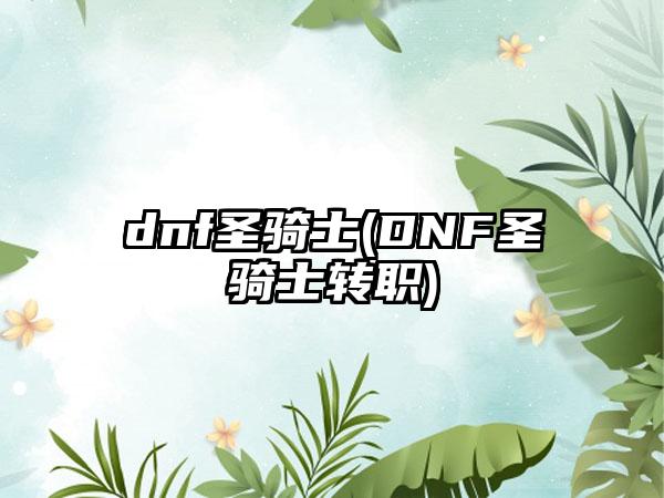 dnf圣骑士(DNF圣骑士转职)