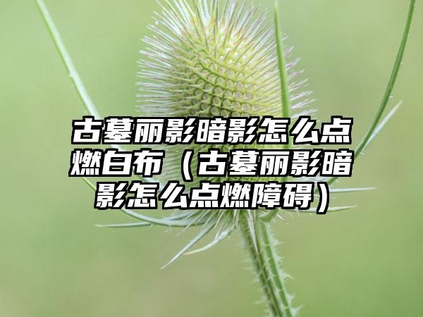 古墓丽影暗影怎么点燃白布（古墓丽影暗影怎么点燃障碍）