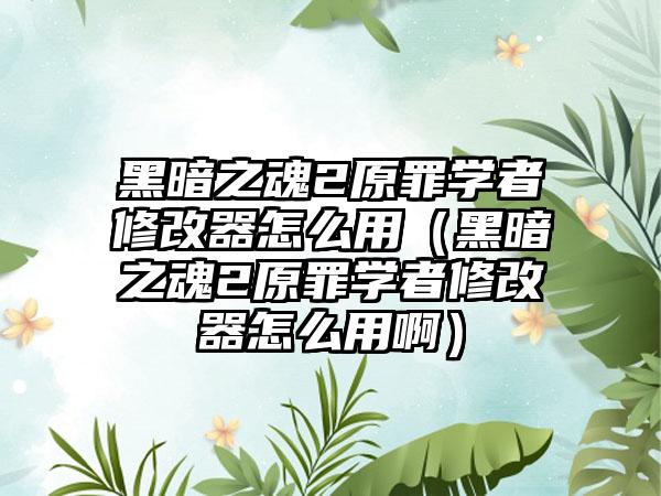 黑暗之魂2原罪学者修改器怎么用（黑暗之魂2原罪学者修改器怎么用啊）