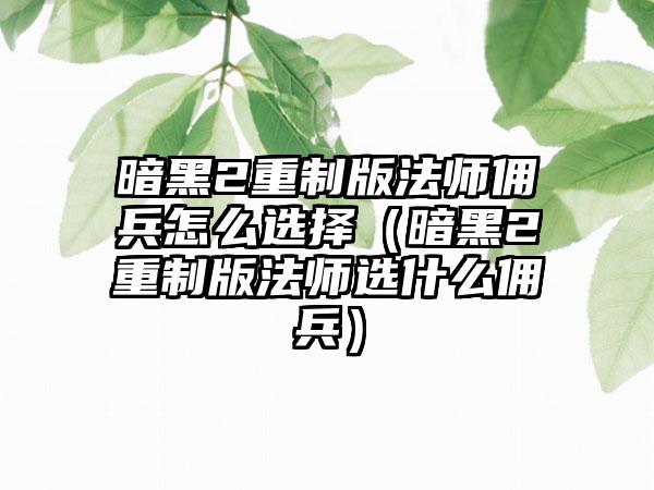 暗黑2重制版法师佣兵怎么选择（暗黑2重制版法师选什么佣兵）