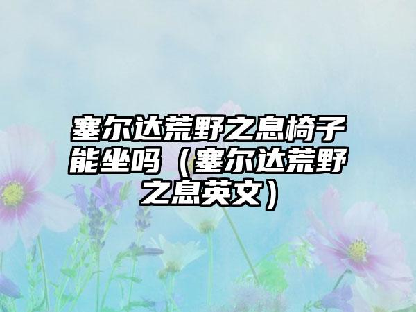 塞尔达荒野之息椅子能坐吗（塞尔达荒野之息英文）