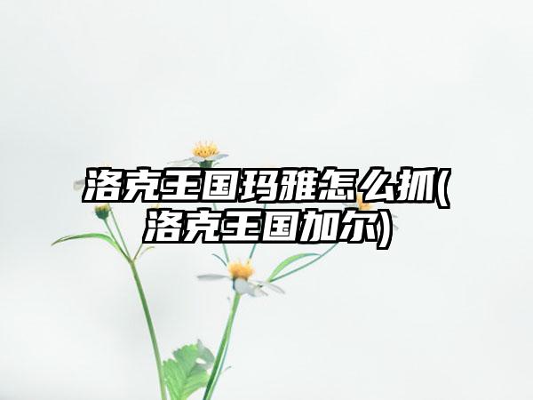 洛克王国玛雅怎么抓(洛克王国加尔)