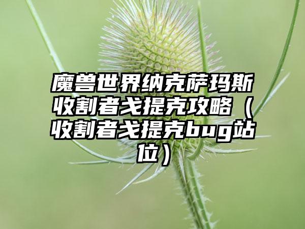 魔兽世界纳克萨玛斯收割者戈提克攻略（收割者戈提克bug站位）