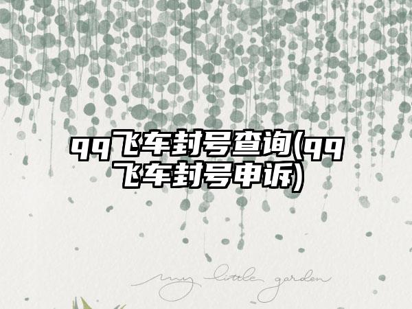 qq飞车封号查询(qq飞车封号申诉)