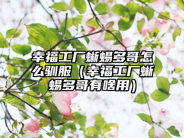 幸福工厂蜥蜴多哥怎么驯服（幸福工厂蜥蜴多哥有啥用）