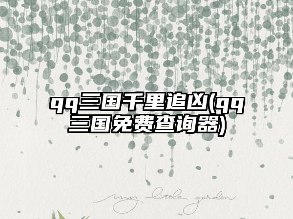 qq三国千里追凶(qq三国免费查询器)