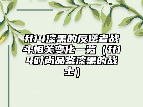 ff14漆黑的反逆者战斗相关变化一览（ff14时尚品鉴漆黑的战士）