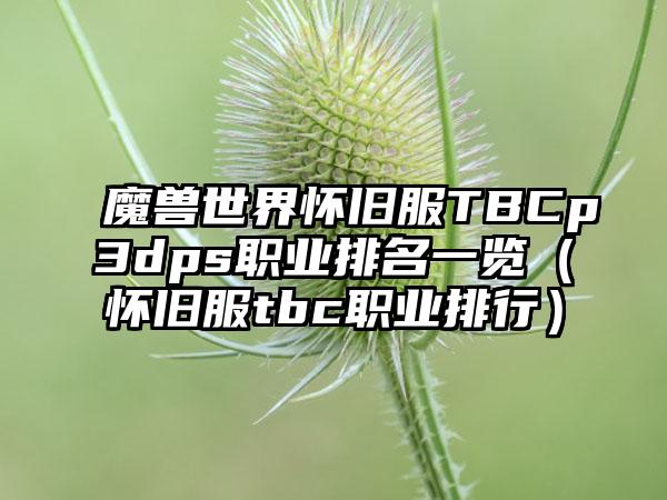 魔兽世界怀旧服TBCp3dps职业排名一览（怀旧服tbc职业排行）