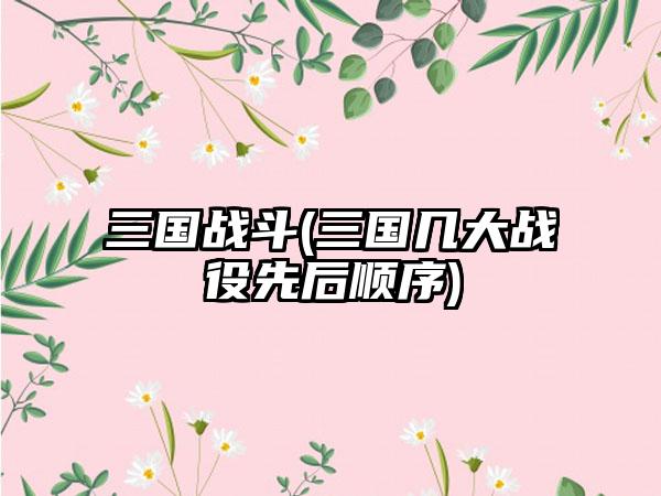 三国战斗(三国几大战役先后顺序)
