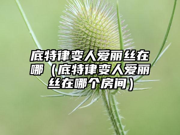 底特律变人爱丽丝在哪（底特律变人爱丽丝在哪个房间）