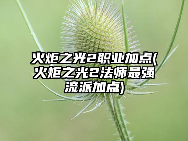 火炬之光2职业加点(火炬之光2法师最强流派加点)