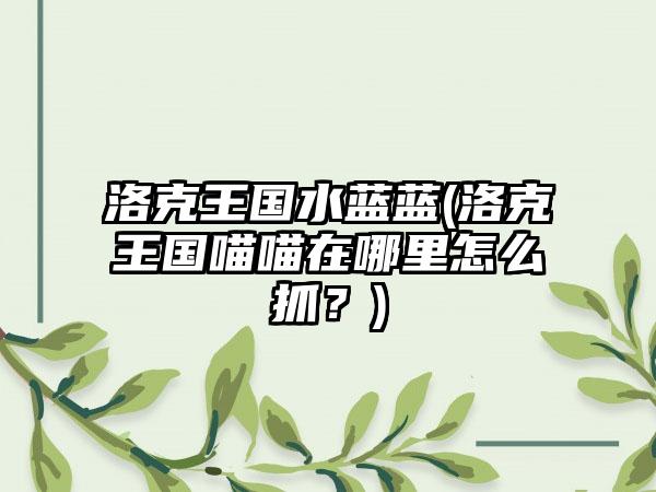 洛克王国水蓝蓝(洛克王国喵喵在哪里怎么抓？)