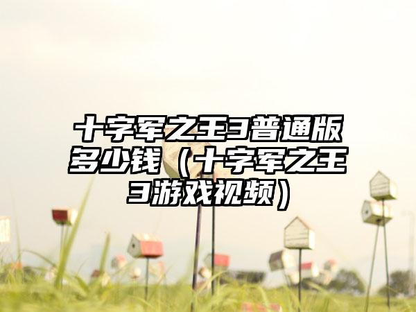 十字军之王3普通版多少钱（十字军之王3游戏视频）
