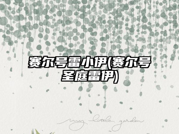 赛尔号雷小伊(赛尔号圣庭雷伊)