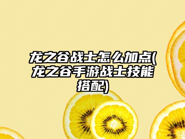 龙之谷战士怎么加点(龙之谷手游战士技能搭配)
