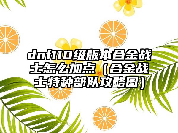dnf110级版本合金战士怎么加点（合金战士特种部队攻略图）