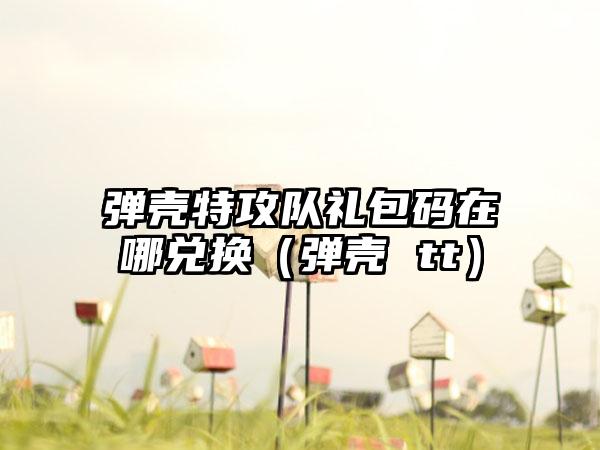 弹壳特攻队礼包码在哪兑换（弹壳 tt）