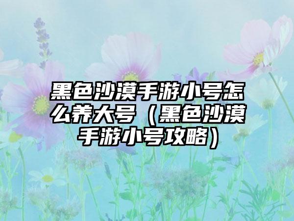 黑色沙漠手游小号怎么养大号（黑色沙漠手游小号攻略）
