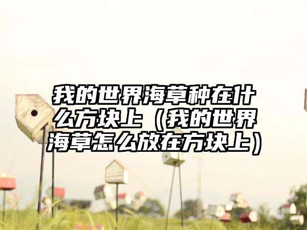 我的世界海草种在什么方块上（我的世界海草怎么放在方块上）