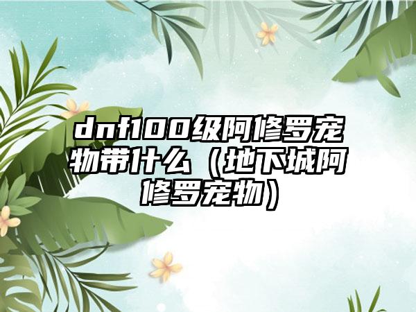 dnf100级阿修罗宠物带什么（地下城阿修罗宠物）