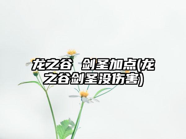 龙之谷 剑圣加点(龙之谷剑圣没伤害)