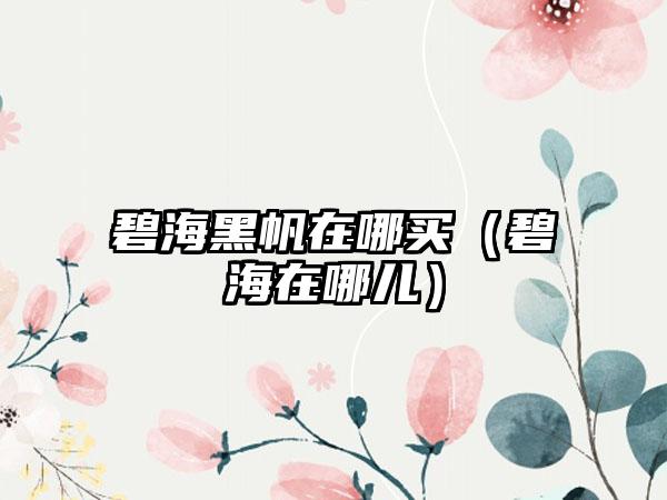 碧海黑帆在哪买（碧海在哪儿）