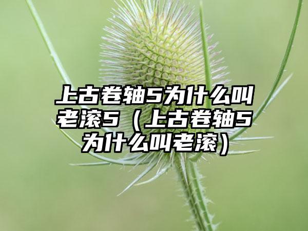 上古卷轴5为什么叫老滚5（上古卷轴5为什么叫老滚）