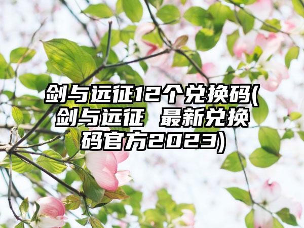 剑与远征12个兑换码(剑与远征 最新兑换码官方2023)