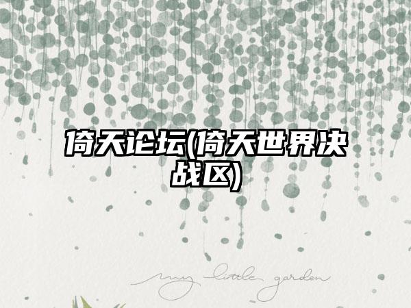 倚天论坛(倚天世界决战区)