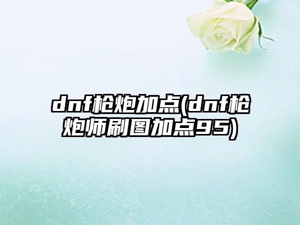 dnf枪炮加点(dnf枪炮师刷图加点95)