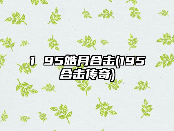 1 95皓月合击(195合击传奇)