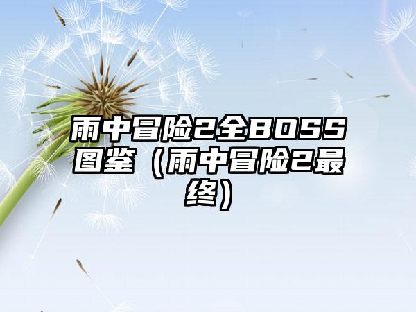 雨中冒险2全BOSS图鉴（雨中冒险2最终）