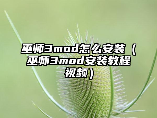 巫师3mod怎么安装（巫师3mod安装教程视频）