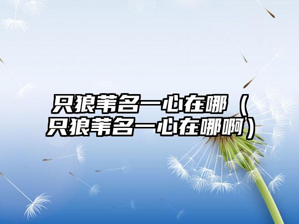 只狼苇名一心在哪（只狼苇名一心在哪啊）