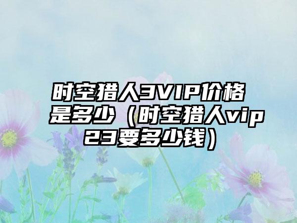 时空猎人3VIP价格是多少（时空猎人vip23要多少钱）