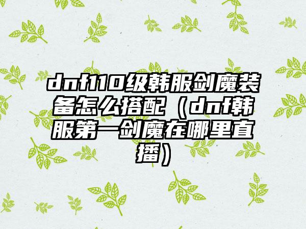 dnf110级韩服剑魔装备怎么搭配（dnf韩服第一剑魔在哪里直播）