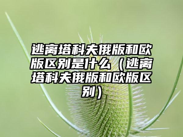 逃离塔科夫俄版和欧版区别是什么（逃离塔科夫俄版和欧版区别）