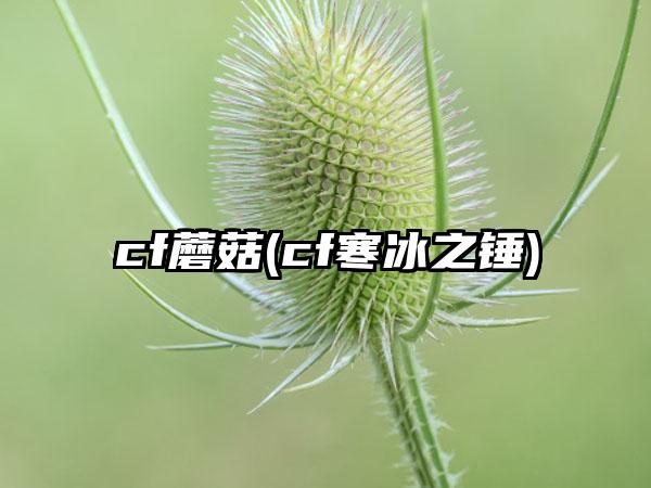 cf蘑菇(cf寒冰之锤)