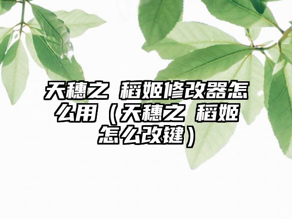 天穗之咲稻姬修改器怎么用（天穗之咲稻姬怎么改键）