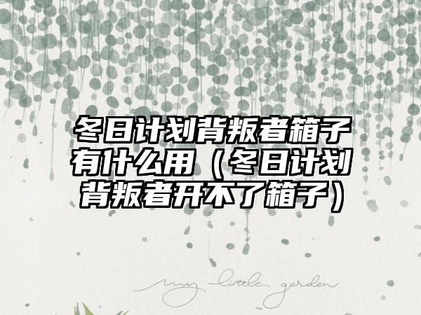 冬日计划背叛者箱子有什么用（冬日计划背叛者开不了箱子）