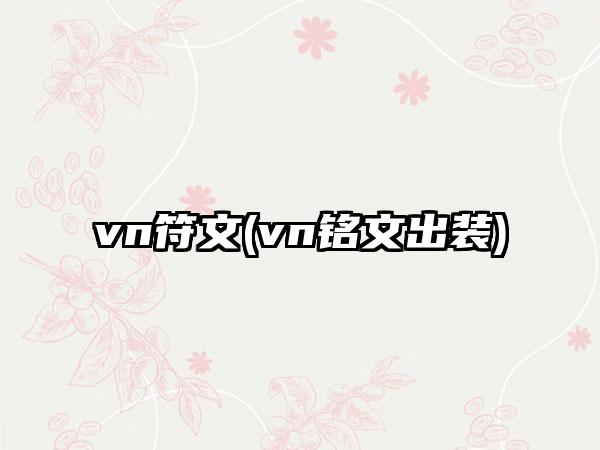vn符文(vn铭文出装)