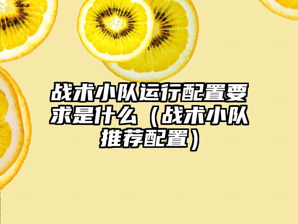战术小队运行配置要求是什么（战术小队推荐配置）