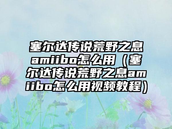 塞尔达传说荒野之息amiibo怎么用（塞尔达传说荒野之息amiibo怎么用视频教程）