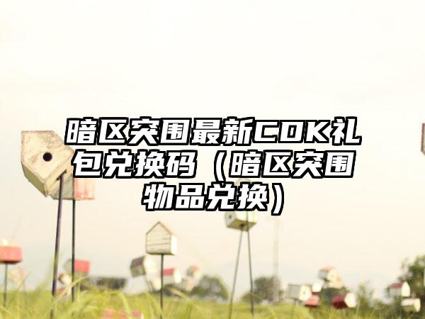 暗区突围最新CDK礼包兑换码（暗区突围物品兑换）