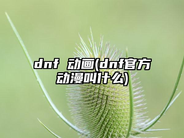 dnf 动画(dnf官方动漫叫什么)